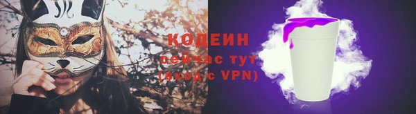молекула духа Балахна