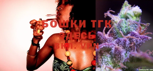 молекула духа Балахна